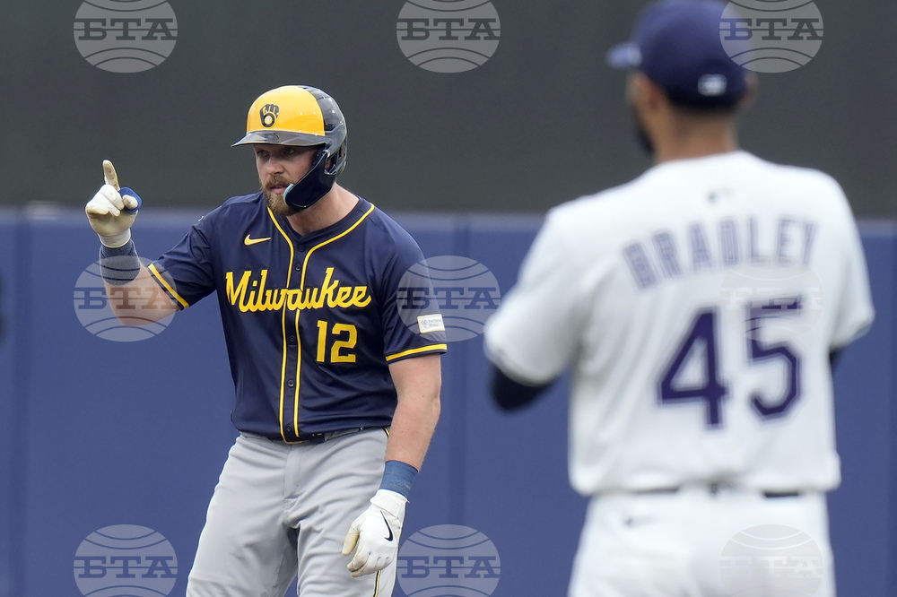 Brewers Rays Baseball