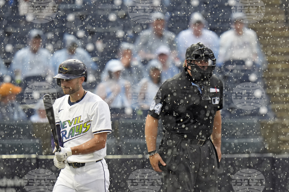 Brewers Rays Baseball