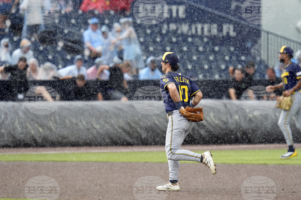 Brewers Rays Baseball