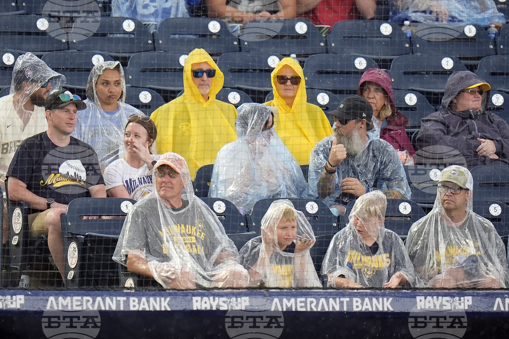 Brewers Rays Baseball