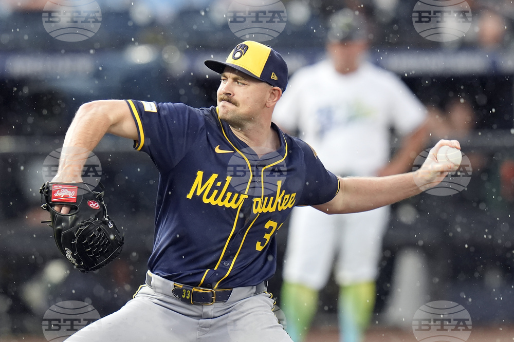 Brewers Rays Baseball