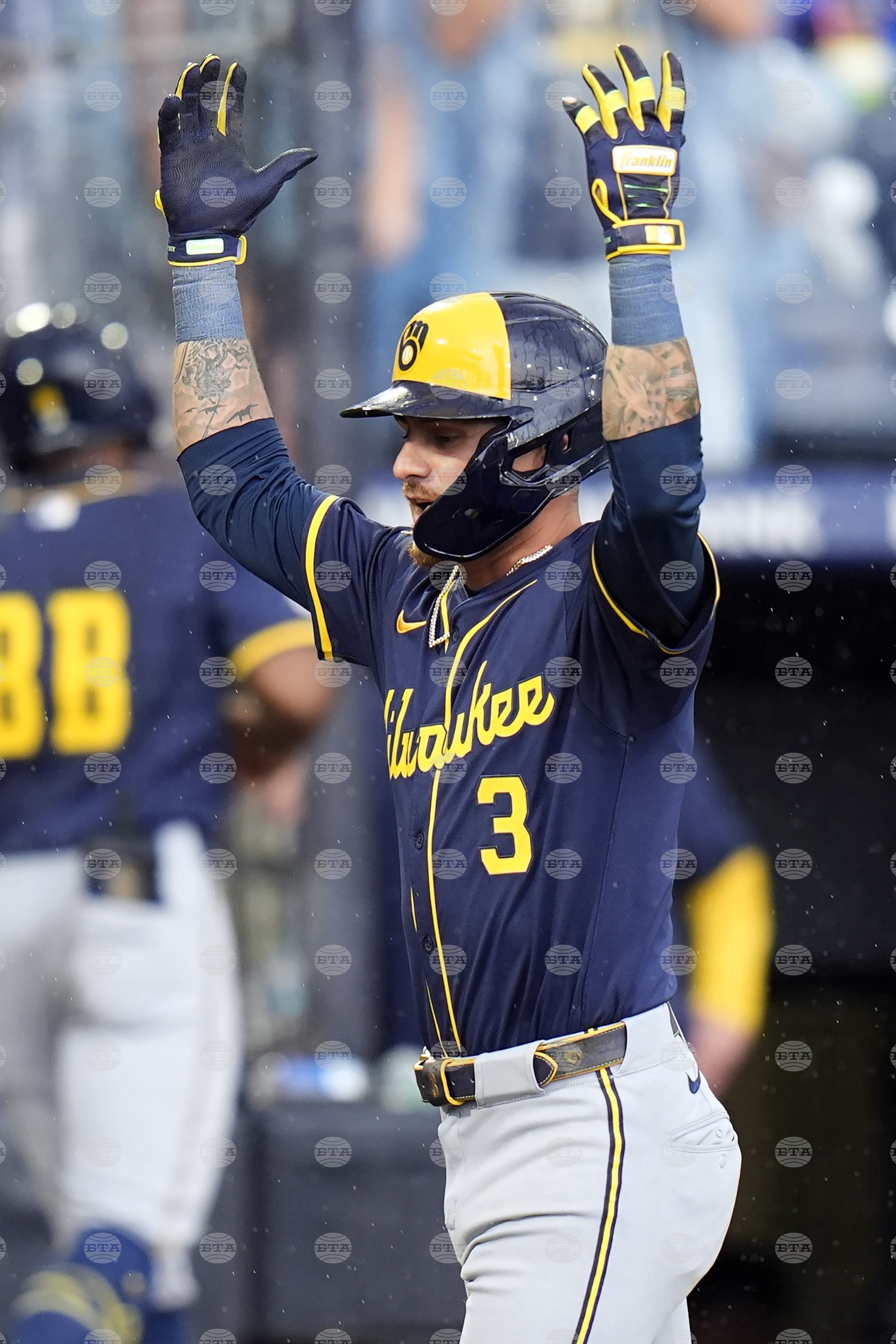 Brewers Rays Baseball