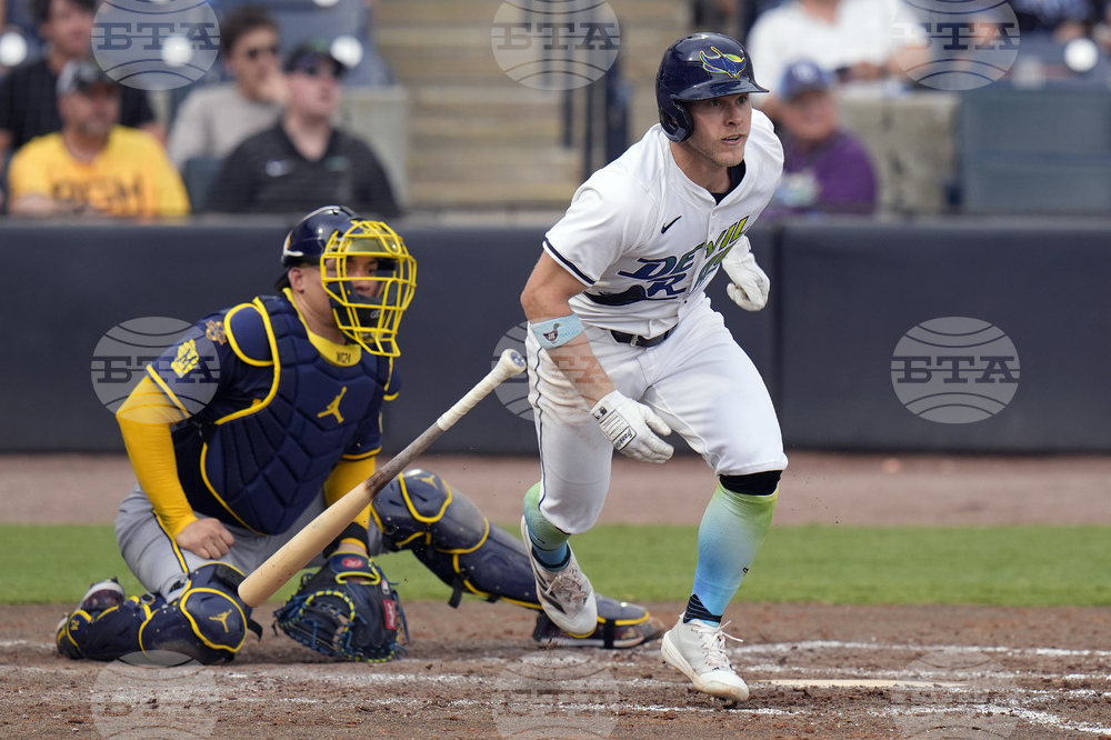 Brewers Rays Baseball
