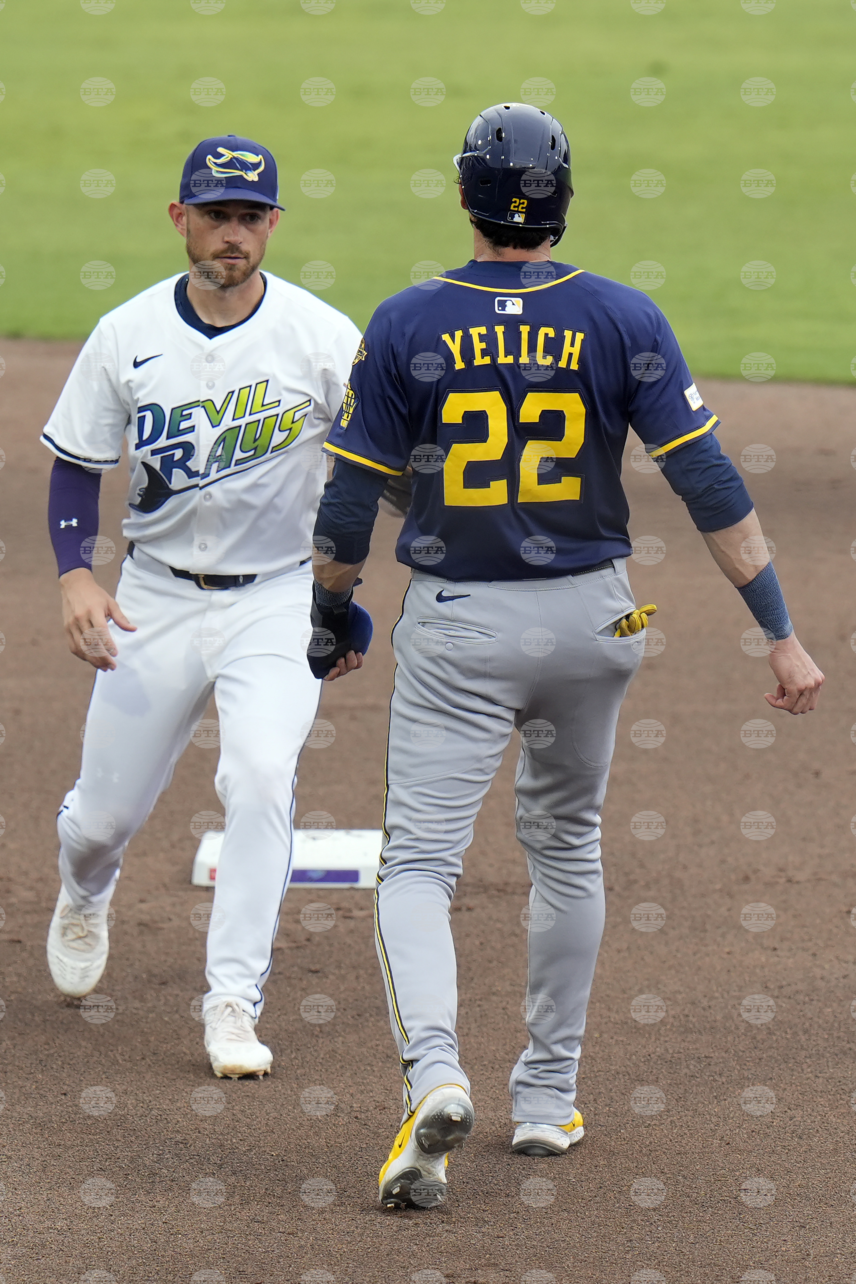 Brewers Rays Baseball