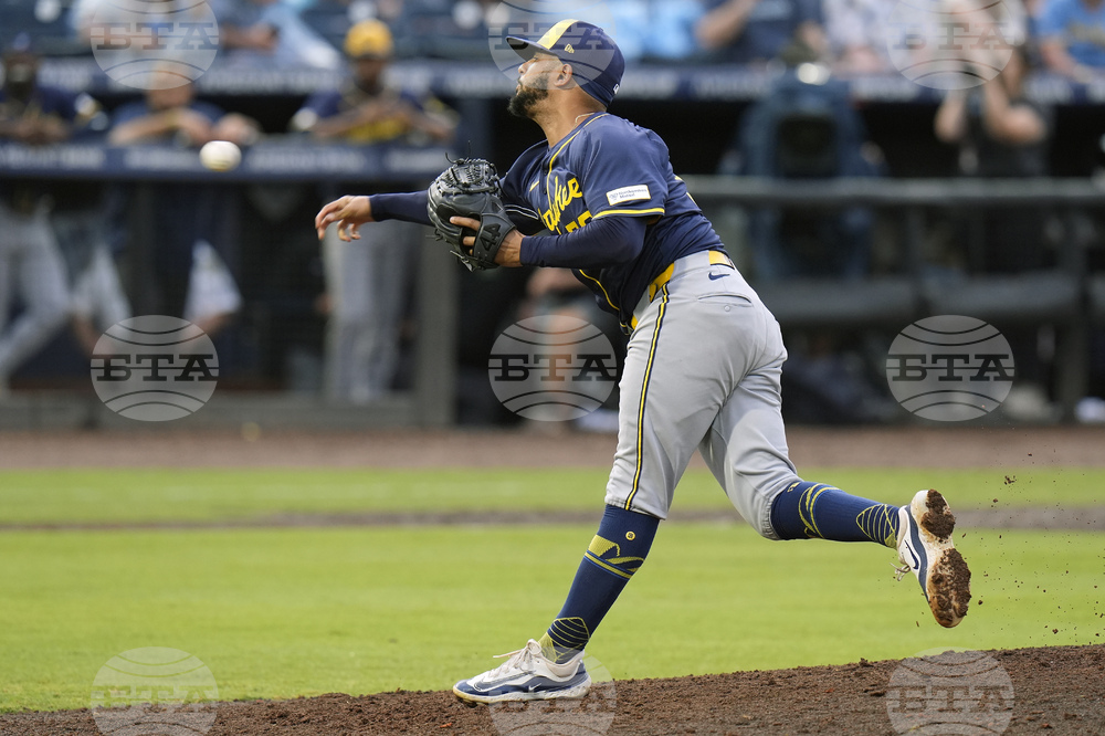 Brewers Rays Baseball