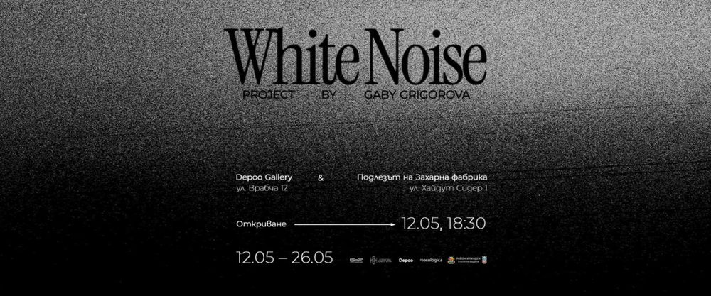Изложбата "Бял шум" на Габи Григорова се открива в София