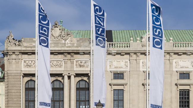 Организацията за сигурност и сътрудничество в Европа е готова да поеме ролята на наблюдател върху евентуално примирие в Украйна