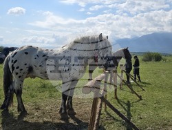 Разлог - фермерска среща