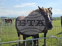 Разлог - фермерска среща