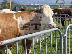 Разлог - фермерска среща