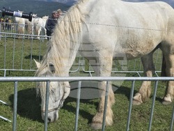 Разлог - фермерска среща