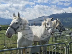 Разлог - фермерска среща