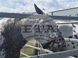 Разлог - фермерска среща