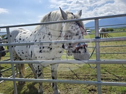 Разлог - фермерска среща