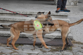 Банско - спасители - земетресения