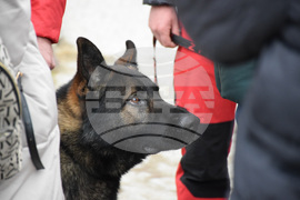 Банско - спасители - земетресения