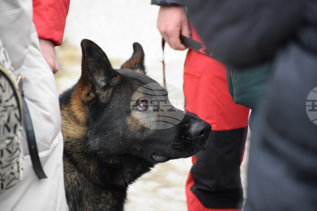 Пътеките в района на Бояна са обходени с кучета и хора, във високите части с дронове, съобщават от ПСС на БЧК във връзка с издирването на изчезналото момиче във Витоша 