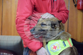 Банско - спасители - земетресения - Нико