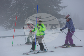 Витоша зимен фест - Световен ден на снега
