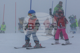 Витоша зимен фест - Световен ден на снега