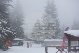 Витоша зимен фест - Световен ден на снега