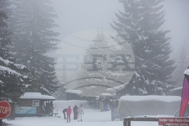 Витоша зимен фест - Световен ден на снега