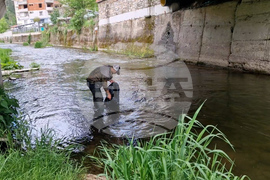 Смолян - доброволци - река Черна - почистване