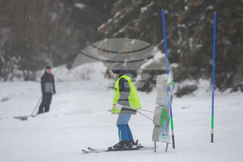 Витоша зимен фест - Световен ден на снега