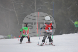 Витоша зимен фест - Световен ден на снега