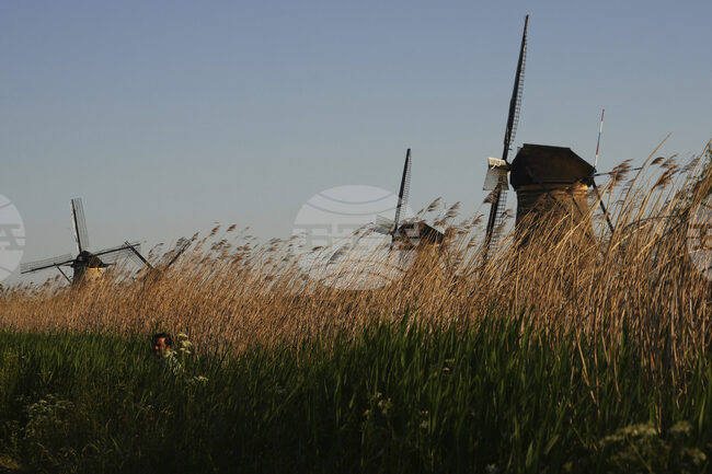 Нидерландската армия е използвала оръжие срещу дронове, забелязани над военна база