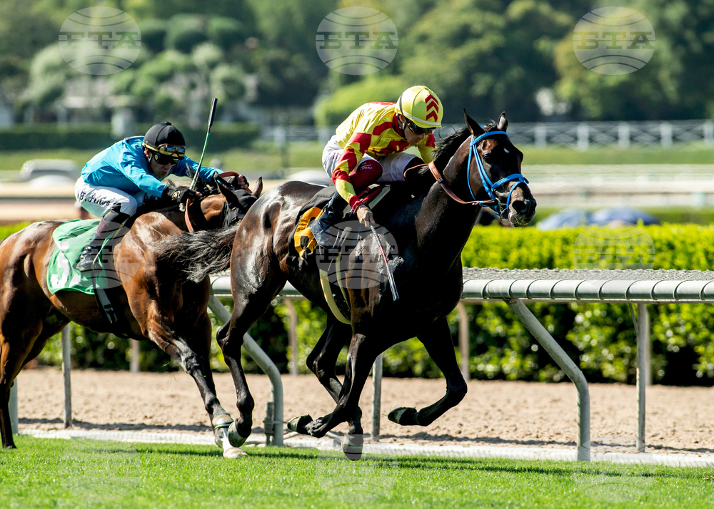 Santa Anita Horse Racing
