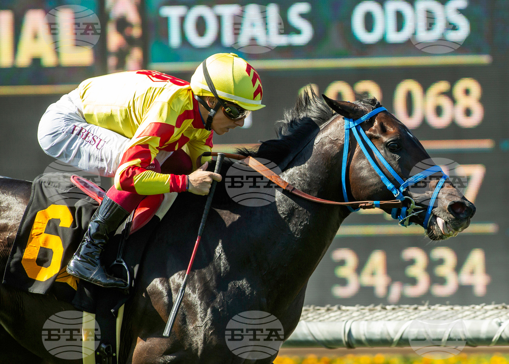Santa Anita Horse Racing