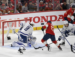 Maple Leafs Panthers Hockey