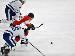 Maple Leafs Panthers Hockey