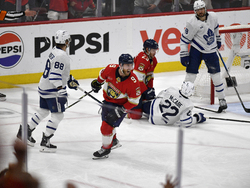 Maple Leafs Panthers Hockey
