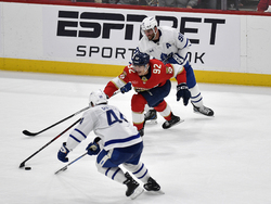 Maple Leafs Panthers Hockey