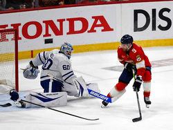 Maple Leafs Panthers Hockey