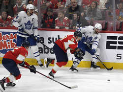 Maple Leafs Panthers Hockey