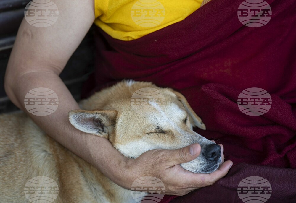 Nepal Buddhism
