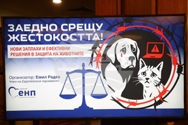 „Заедно срещу жестокостта! Нови заплахи и ефективни решения в защита на животните“ - кръгла маса