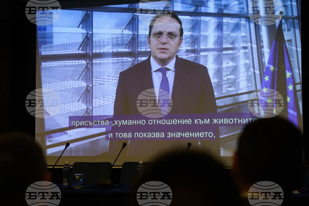 „Заедно срещу жестокостта! Нови заплахи и ефективни решения в защита на животните“ - кръгла маса