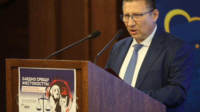 Acting Prosecutor General Sarafov Warns Inaction Fuels Animal Cruelty, Calls for Zero Tolerance
