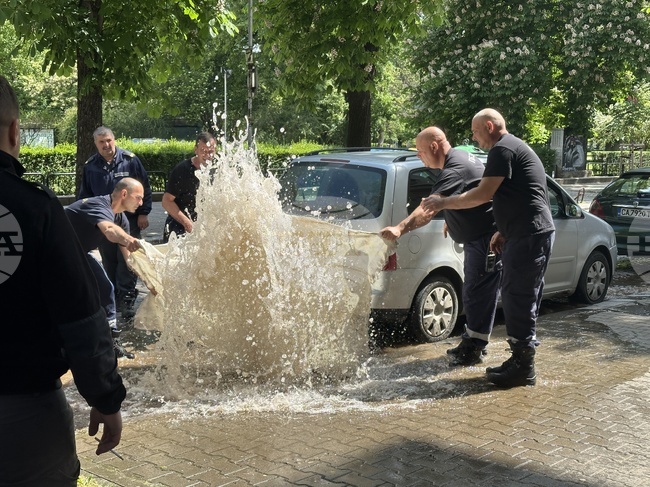 Авария – столица