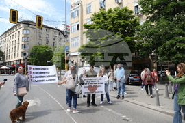 Синдикат на медицинските специалисти - протест
