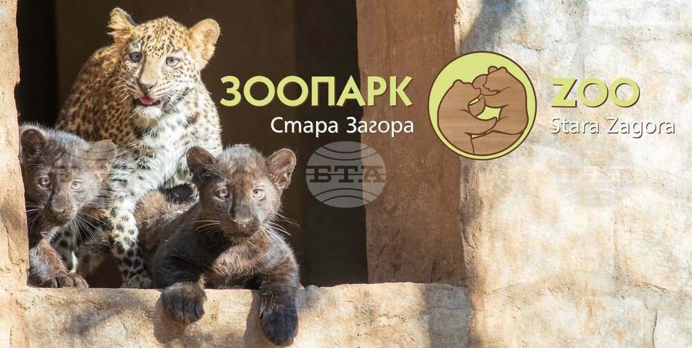 Зоопарк Стара Загора стартира доброволческа програма