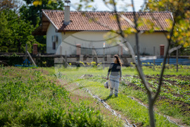 Пловдив - класическа музика в село Сърнегор