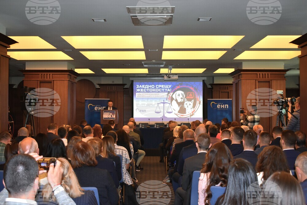 Conference on Measures against Animal Cruelty Takes Place in Sofia