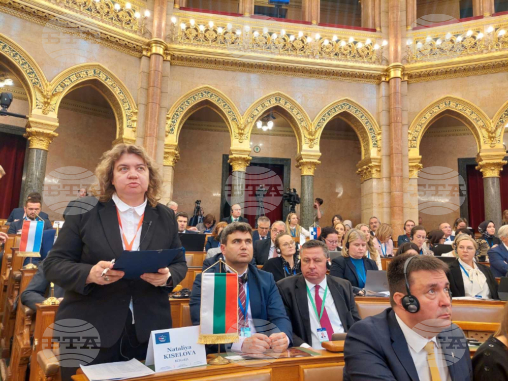 Силата на ЕС е в неговата възможност да се реформира, основавайки се на фундаменталните си ценности, каза Наталия Киселова