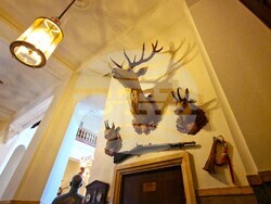 БНТ представи документалния филм „Царят-гражданин“ в двореца „Врана“,  снимка – Даниел Димитров/БТА