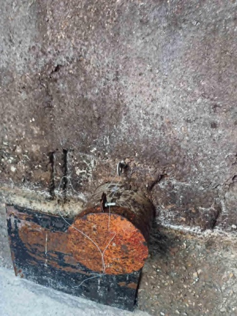 Eкоексперти съставиха акт за незаконно заустване на мандра в Разград